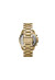 MICHAEL KORS WATCHES Mod. MK5605