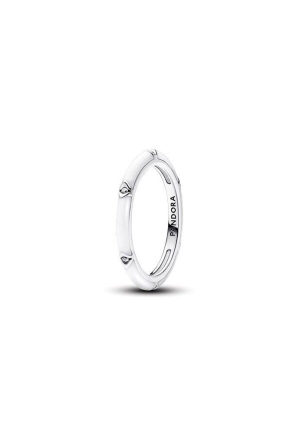 PANDORA JEWELRY Mod. 193089C01-54