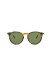 RALPH LAUREN MOD. RL 8181P