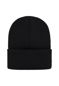 DSQ2 BEANIE