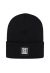 DSQ2 BEANIE