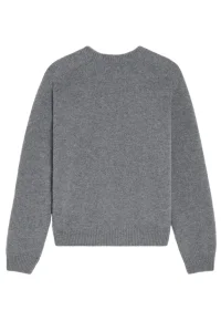 Celine Triomphe Pullover aus Kaschmirwolle Grau Herren