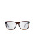 WEB SUNGLASSES ***SPECIAL PRICE***